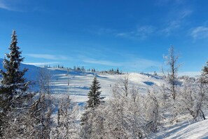 Sekalaista