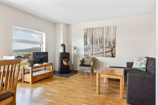 Fernseher, Kamin