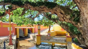 A tranquil courtyard with a clear water feature, a yellow and orange building, and a large tree providing shade. - Cozy studio in charming Aguadilla with AC, WiFi (Aguadilla)