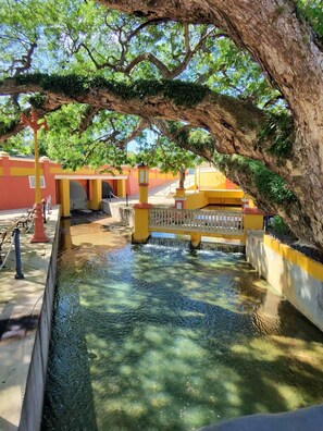 Property grounds - Cozy studio in charming Aguadilla with AC, WiFi (Aguadilla)