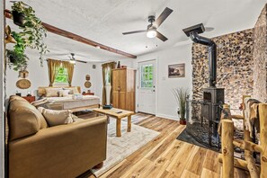 TV connectée, cheminée, livres