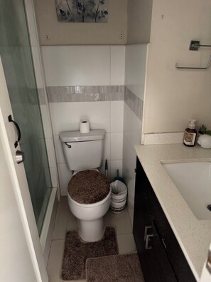 Asciugacapelli, asciugamani, sapone, shampoo