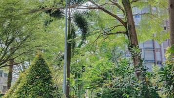 Área da propriedade