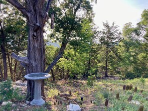 Property grounds - Glamping Casita RV on the Backbone with Stunning Views All Around (Fischer)