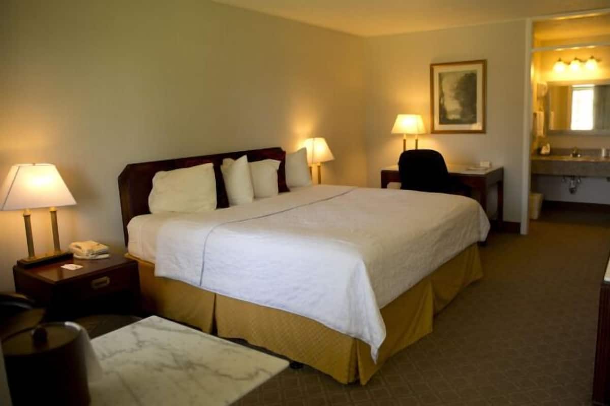 Chambre, 1 grand lit, non-fumeurs | Bureau, fer et planche à repasser, Wi-Fi gratuit, draps fournis