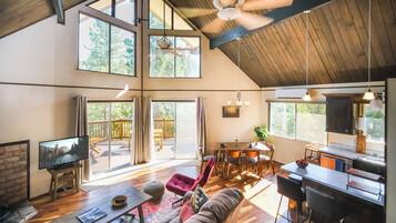 Smart TV, fireplace, books