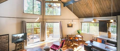 Smart TV, fireplace, books