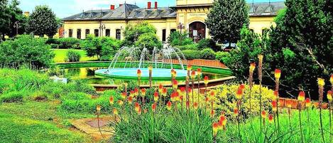 Jardines del alojamiento