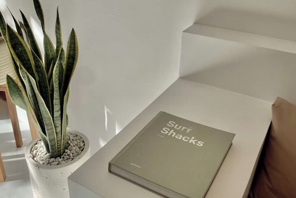 Een boek met de titel 'Surf Shack' op een wit oppervlak, naast een bloempot.