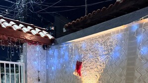 Een binnentuin met een betegelde muur, een klein plantenbakje met planten en een decoratieve lamp.