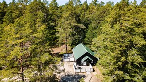 Une cabane au toit végétalisé, nichée au cœur d’une forêt dense.
