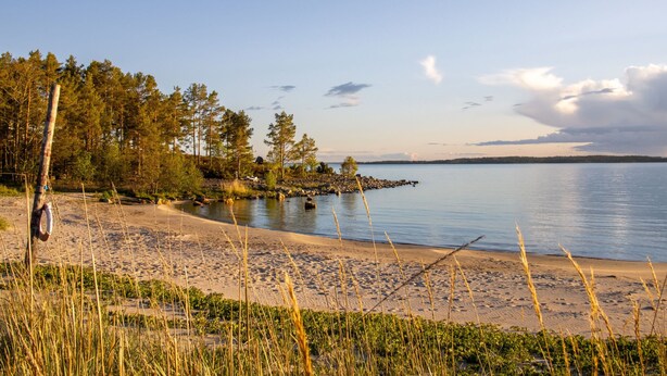 A beach with a clear view of the water, a sandy shore, and a forest in the background. - Hölick Minichalet Plus 6 by Interhome (Hölick)