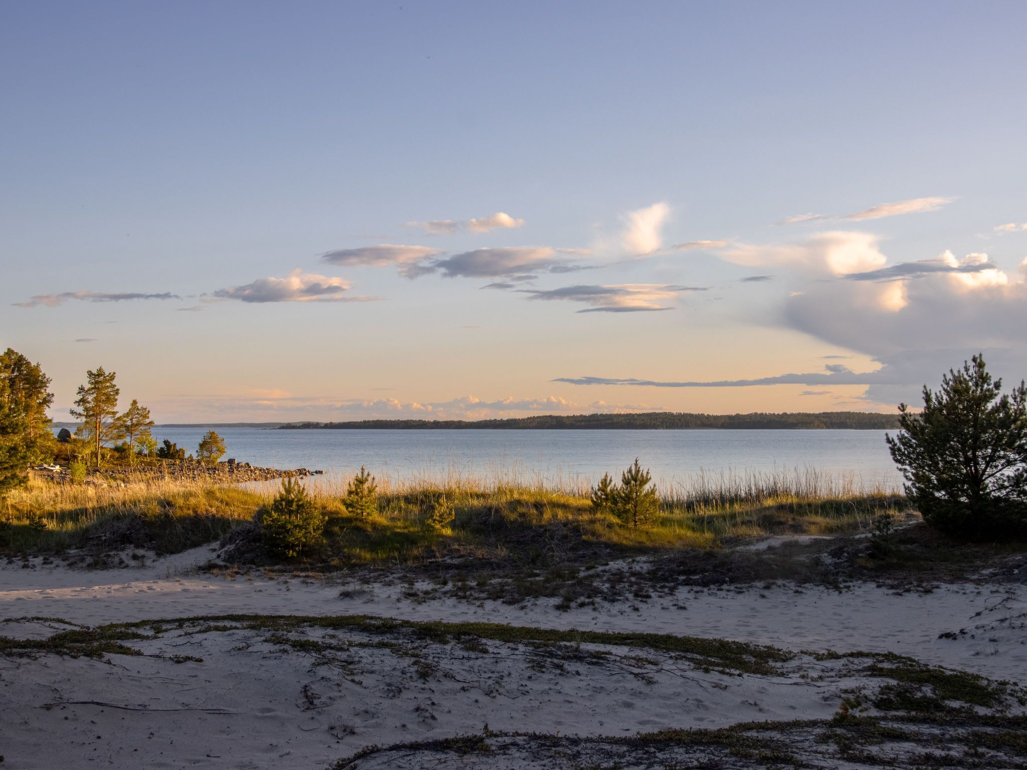 Une plage avec du sable, de l’herbe et une étendue d’eau.