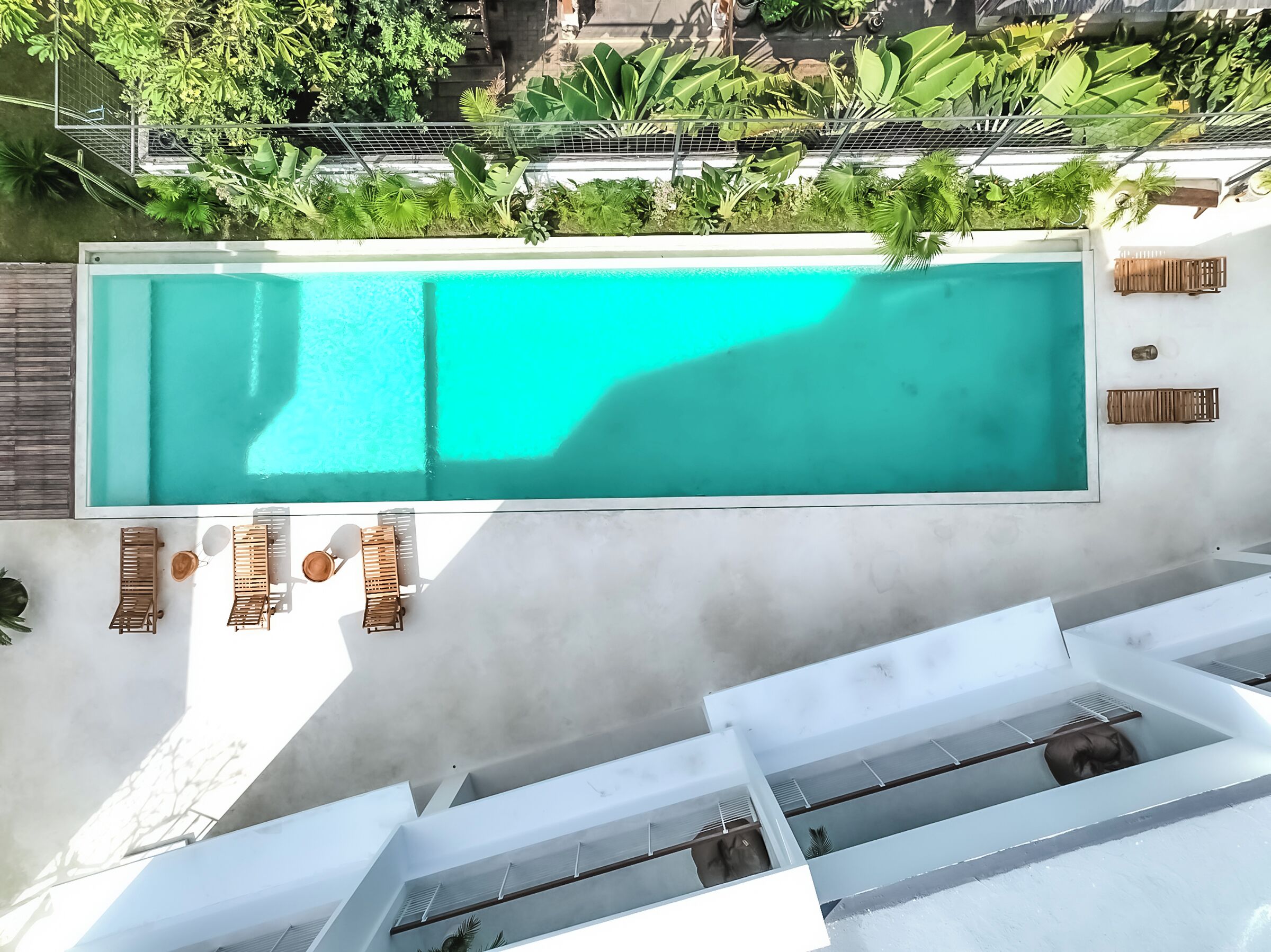 Una piscina en la azotea con una superficie de agua azul cristalina, rodeada de exuberante vegetación y elementos arquitectónicos blancos.