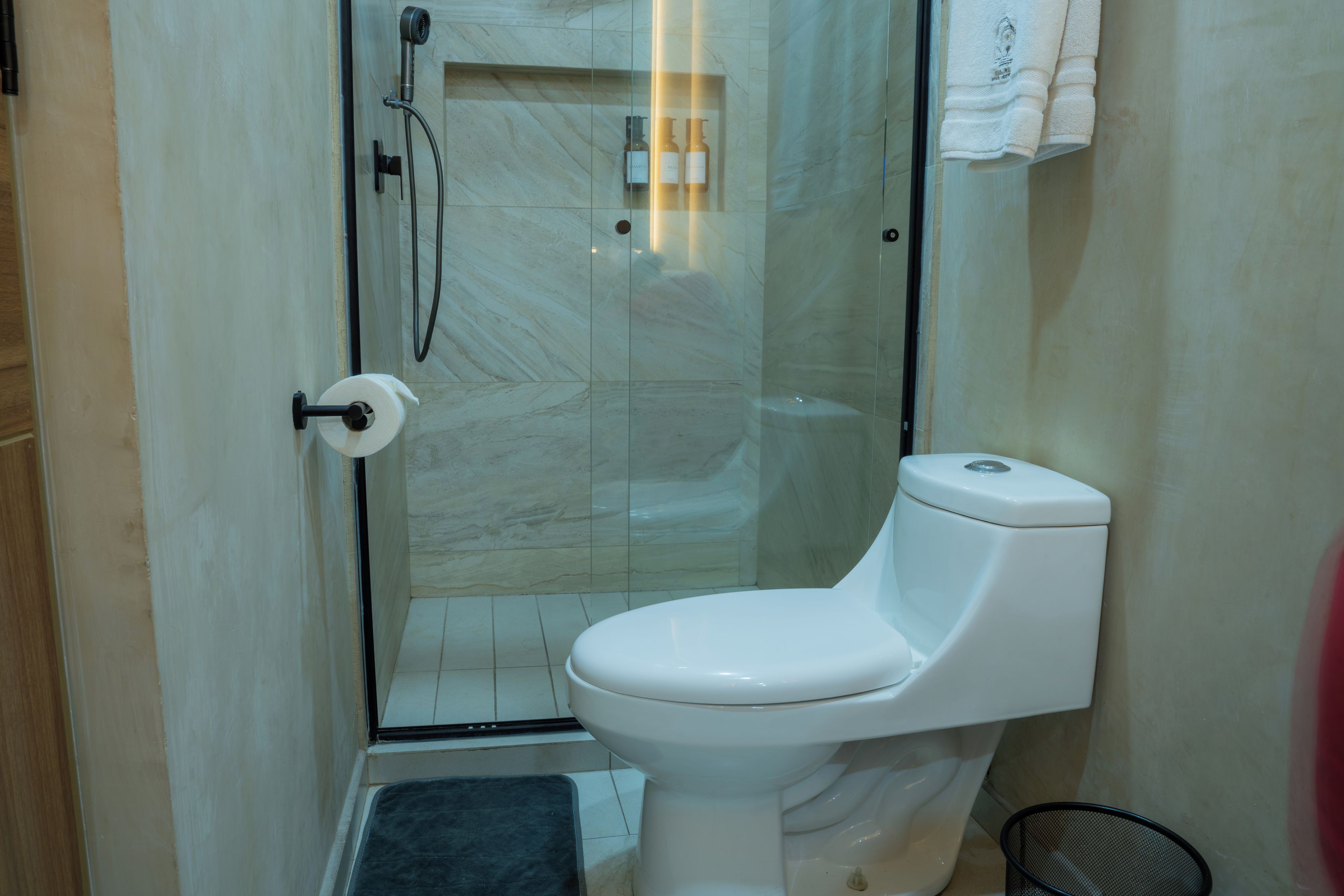 Un baño moderno con ducha envuelta en cristal, inodoro y un pequeño tapete en el suelo.