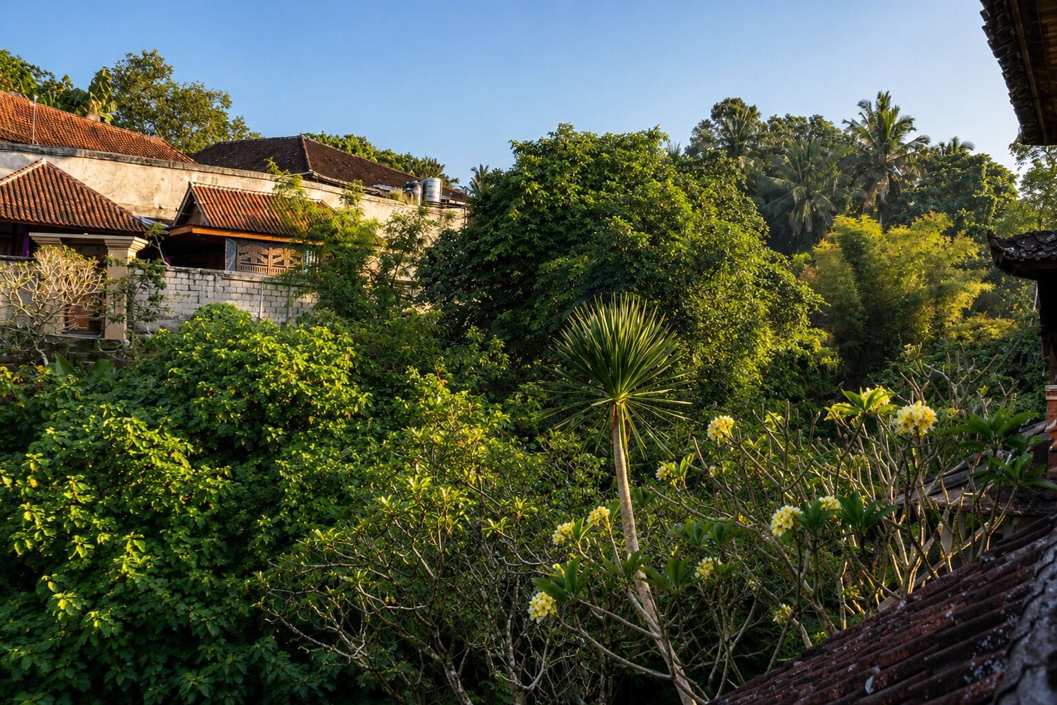 A traditional building with a tiled roof, surrounded by dense greenery and trees.