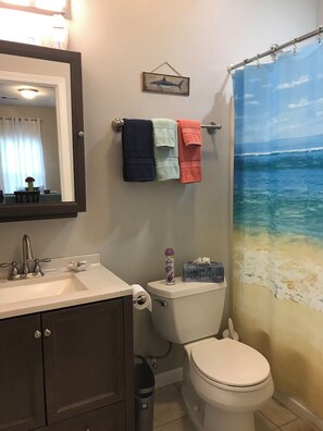 Sèche-cheveux, serviettes fournies, savon, papier toilette