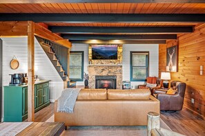 Smart TV, fireplace, books