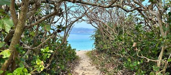 Amami Uttabaru 1 minute walk to Amami Blue Utta / Amami Kagoshima