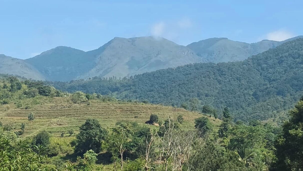 A mountainous landscape with terraced fields and dense forest.
