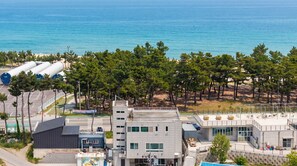 Exterior - Gangneung Aladdin Pension (Gangneung)
