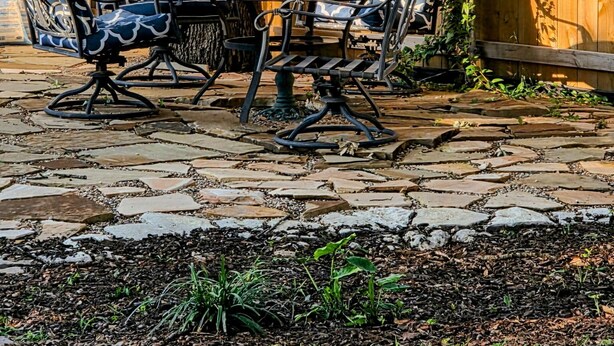 Un patio con una mesa, sillas, un árbol y una valla de madera.