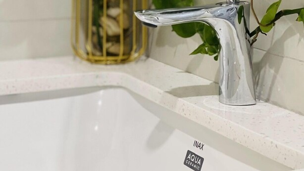 Une salle de bain avec un lavabo blanc, un robinet chromé et une plante en pot aux feuilles vertes.