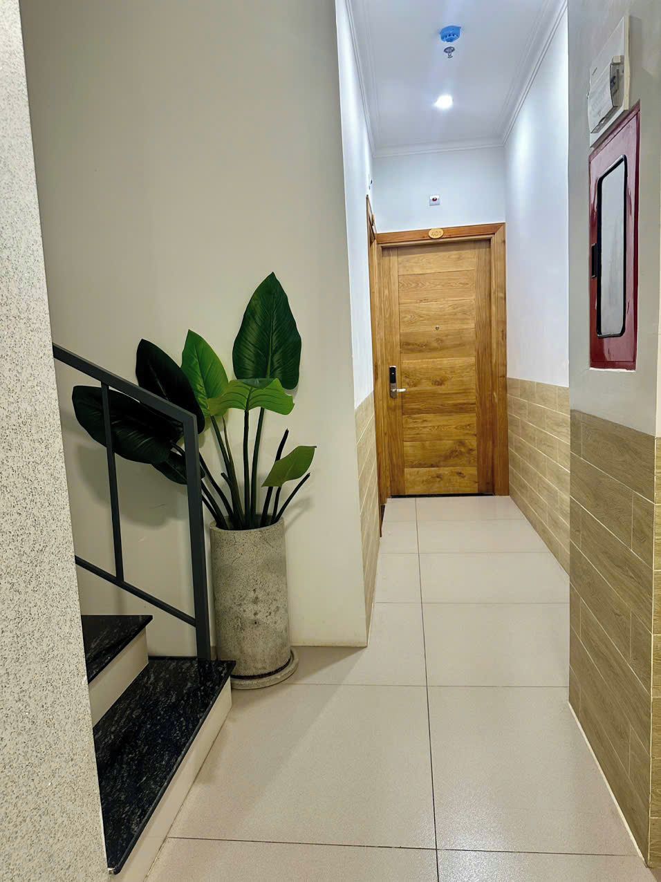 A hallway with a wooden door, a potted plant, and a staircase.