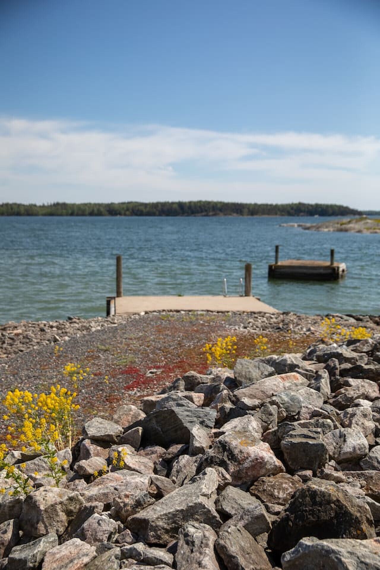 A rocky shoreline with a wooden dock extending into calm water, surrounded by a forested area.