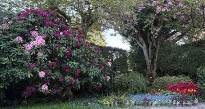 Garden Suite • 1BR/1BA • Near YVR & Ferries • Private Entrance • Self Check-In