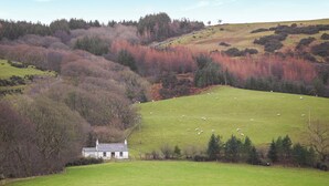 Un paysage rural avec une maison blanche, des champs verdoyants et des moutons qui paissent.