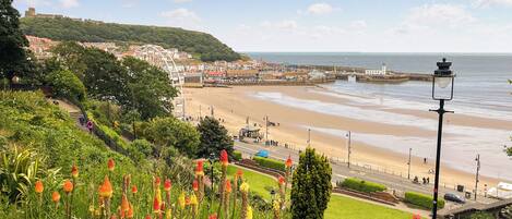 صيد الأسماك