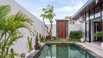 Outdoor pool, sun loungers