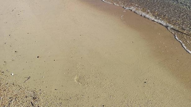 En strand med klart vand, sandet bredde og fjerne bjerge.
