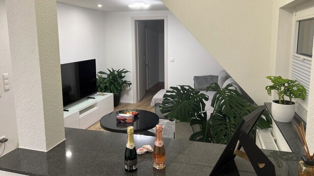 A modern living room with a flat-screen TV, a coffee table, and two potted plants. - Stylish Apartment for Families, Technicians, and Business Travelers in Horb (Horb am Neckar)