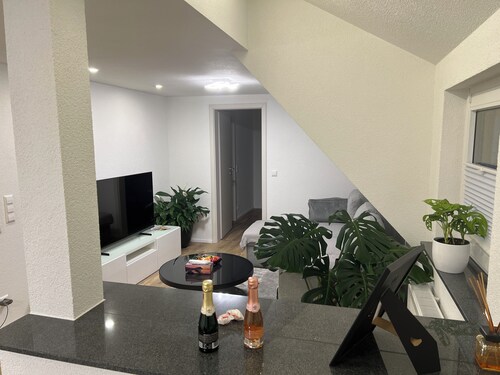 Stilvolle Wohnung in Horb