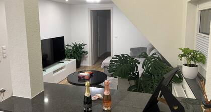 Stilvolle Wohnung in Horb