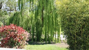 A garden with weeping willow trees, a red flowering shrub, and a dense green bush. - GÎTES TERRA DI A BRAVONA (Linguizzetta)