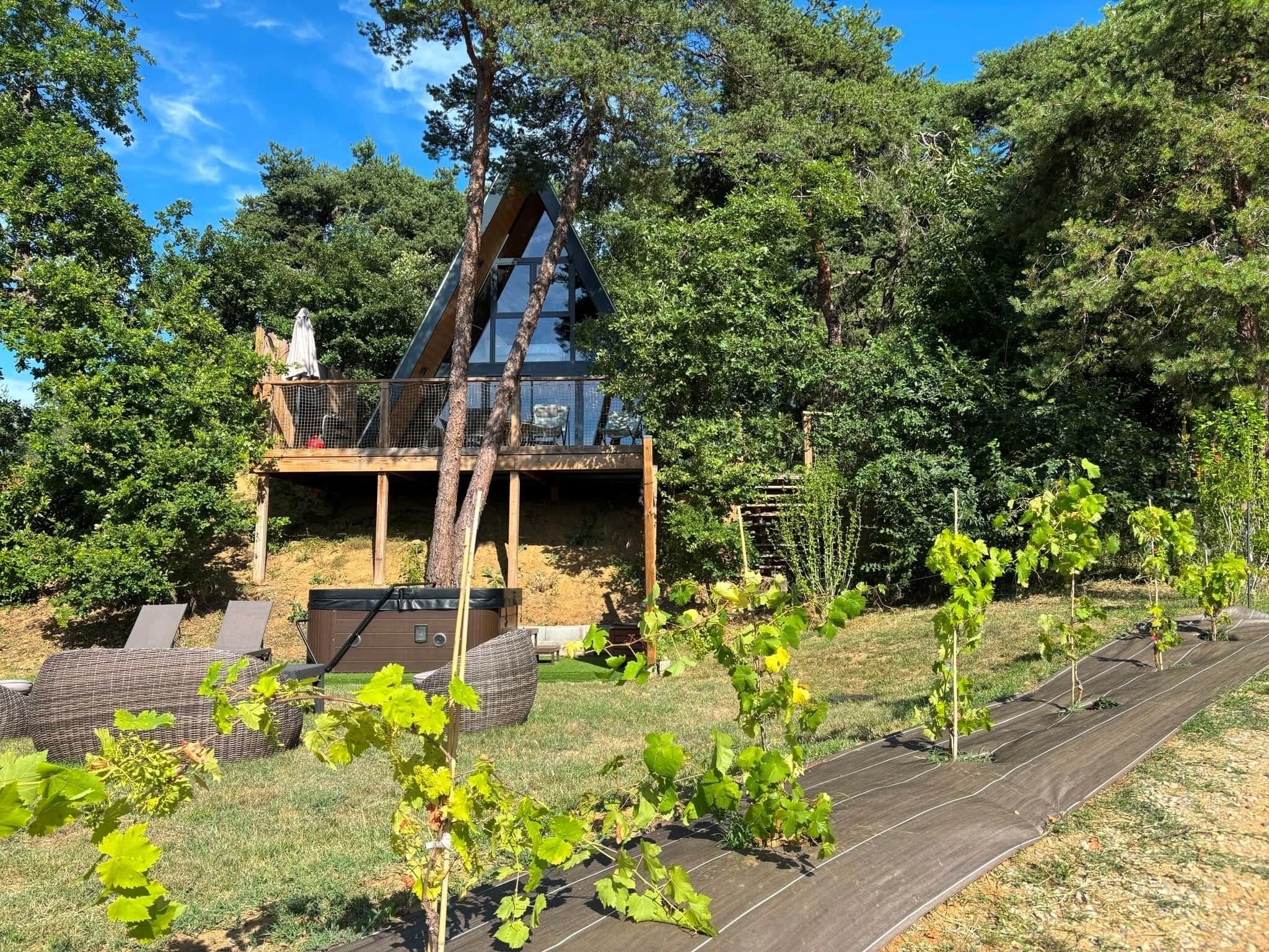 Ein modernes Haus mit einem Satteldach, einem Balkon und einem Weinberg im Vordergrund.