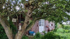 A rustic wooden house with a large tree in front, a white door, and various garden items.