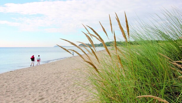 Une plage de sable avec quelques touffes d’herbe, deux personnes qui se promènent, et une vue lointaine de la mer et du paysage terrestre.