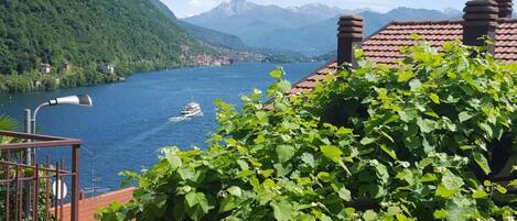 الإطلالة من المنشأة