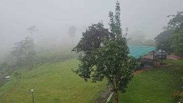 Vista desde la propiedad