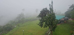 View from property - Bougain Villa Cottage (Bhimtal)