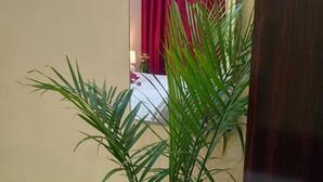 A potted plant in a hallway with a red curtain and a white wall in the background. - Lucknow Luxury Hotel And Restaurant (Lucknow)