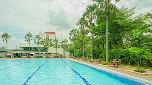 Una piscina con agua cristalina azul, rodeada de palmeras y tumbonas.