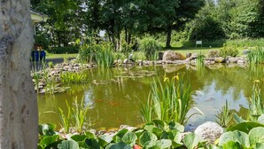 Ein Teich mit Seerosen und Fischen, umgeben von Steinen und Grünpflanzen.