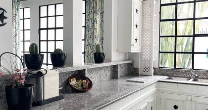 Black Cactus Marshan, près de la médina Tanger