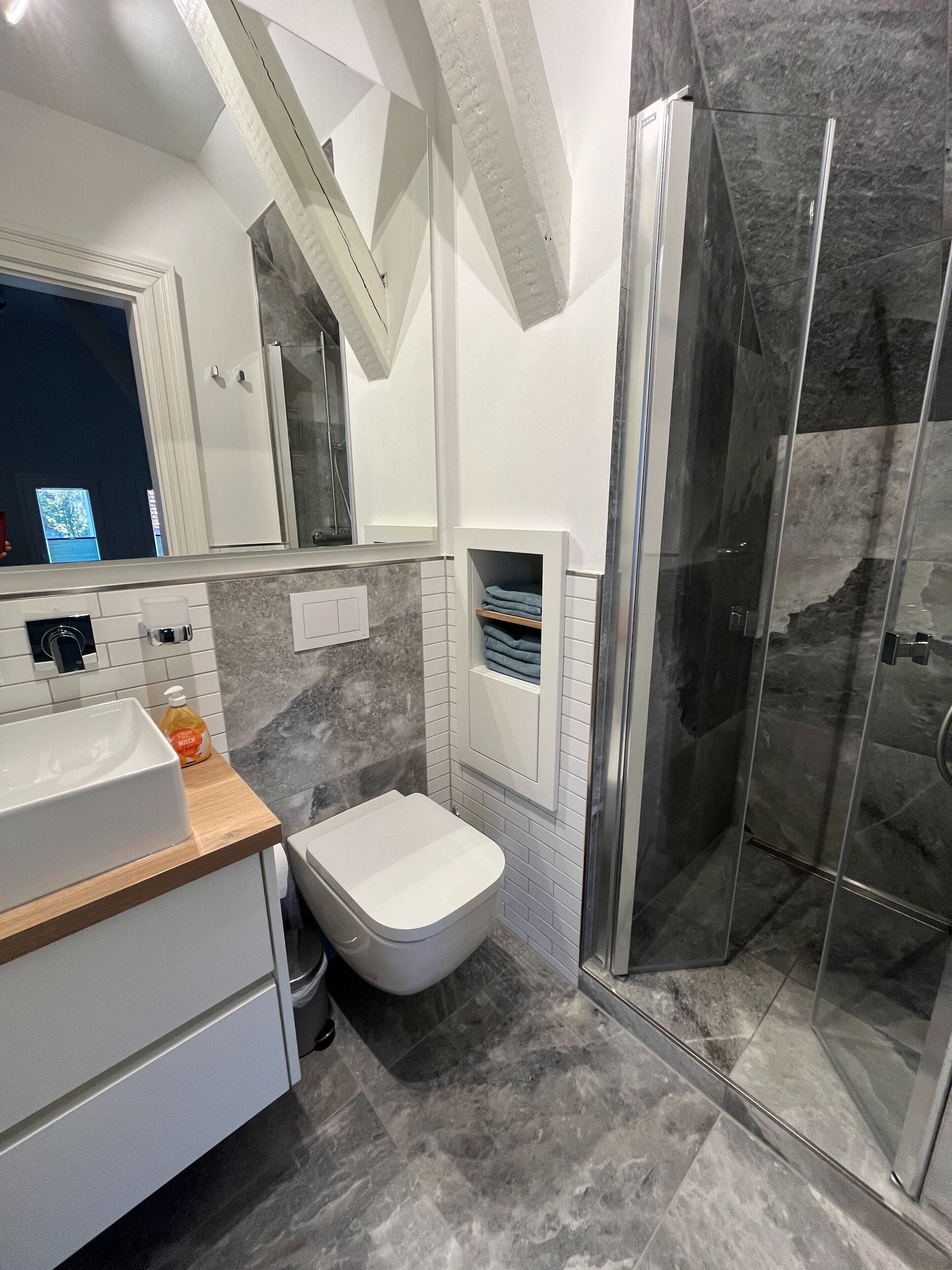 Shower, hair dryer, towels