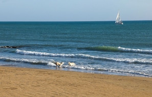 Pêche sur place